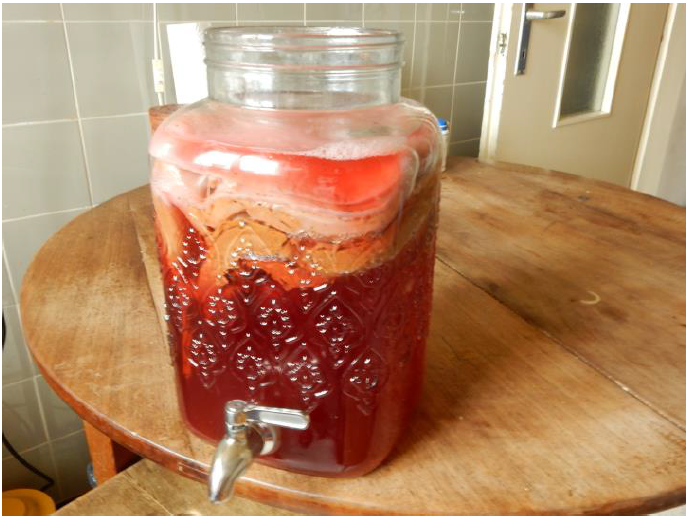 Les Pieds Libres - Le kombucha